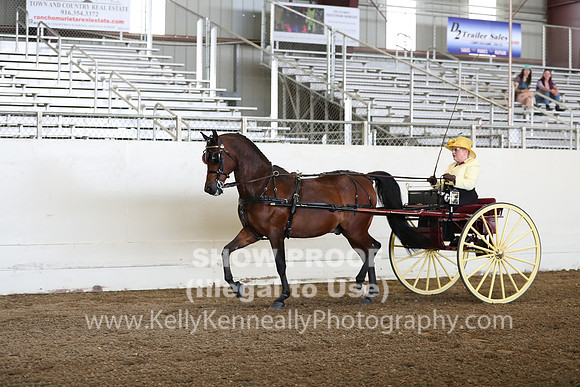 CA_Springfest19_FriAM_9163