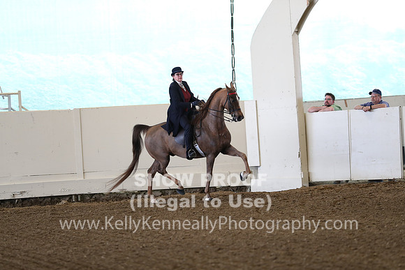 CA_Springfest19_FriAM_9064