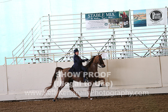 CA_Springfest19_FriAM_9065