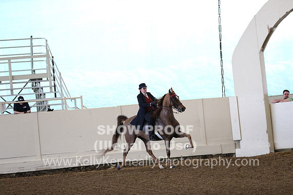 CA_Springfest19_FriAM_9067