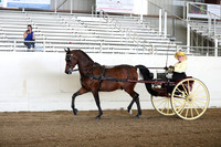 CA_Springfest19_FriAM_9164