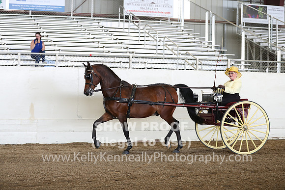 CA_Springfest19_FriAM_9164