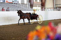 CA_Springfest19_FriAM_9165