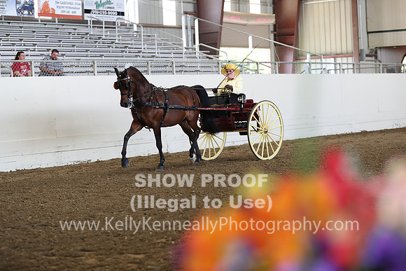 CA_Springfest19_FriAM_9165