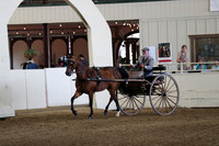 CA_Springfest19_FriAM_9166