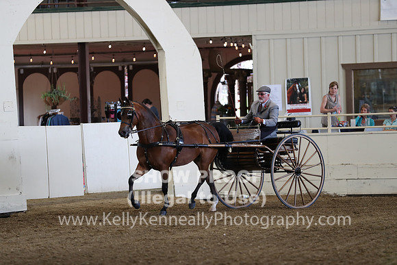CA_Springfest19_FriAM_9166