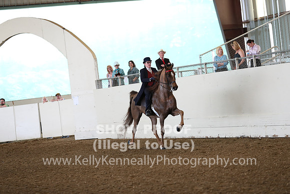 CA_Springfest19_FriAM_9068