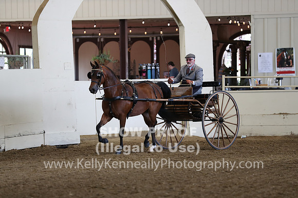 CA_Springfest19_FriAM_9167