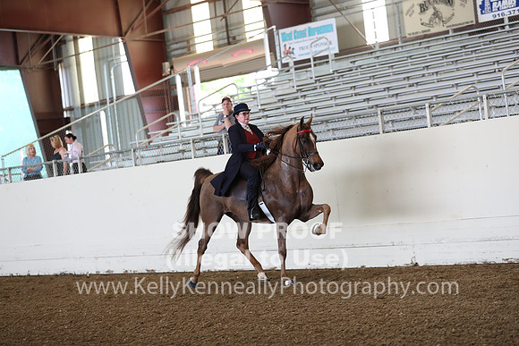 CA_Springfest19_FriAM_9069