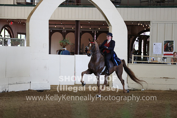 CA_Springfest19_FriAM_9072