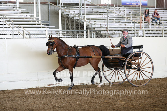 CA_Springfest19_FriAM_9169