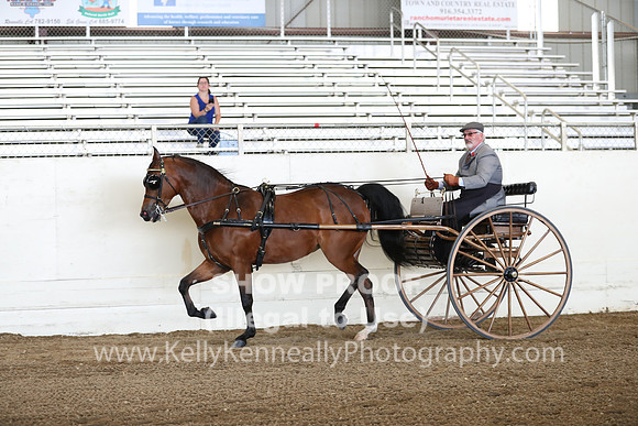 CA_Springfest19_FriAM_9170