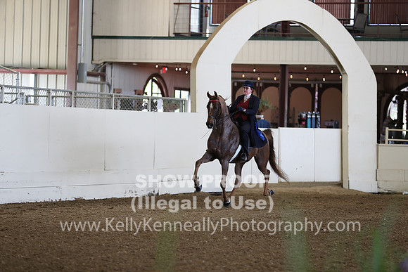 CA_Springfest19_FriAM_9073