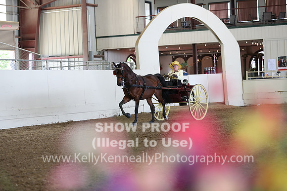CA_Springfest19_FriAM_9171