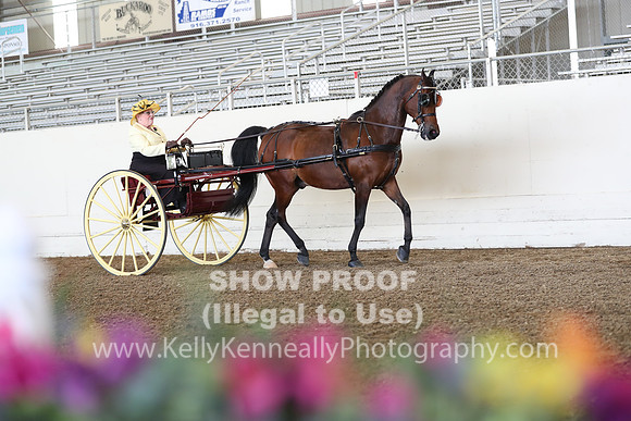 CA_Springfest19_FriAM_9172