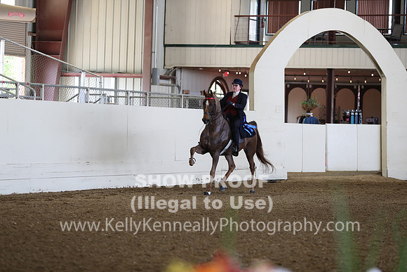 CA_Springfest19_FriAM_9074