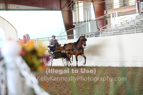 CA_Springfest19_FriAM_9173