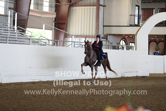 CA_Springfest19_FriAM_9075