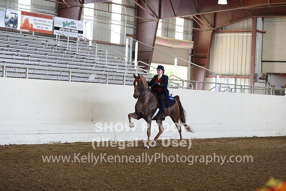 CA_Springfest19_FriAM_9076