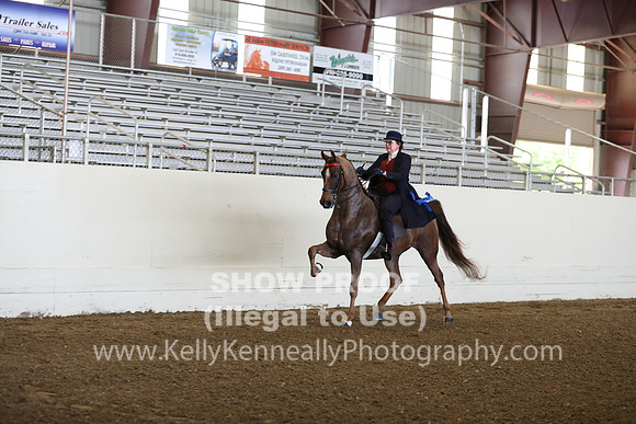 CA_Springfest19_FriAM_9077