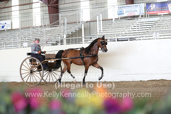 CA_Springfest19_FriAM_9174