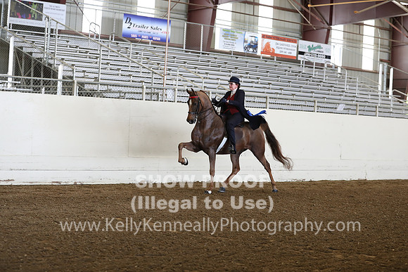 CA_Springfest19_FriAM_9078