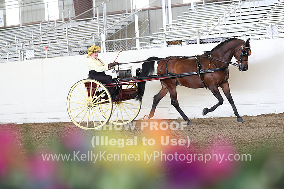 CA_Springfest19_FriAM_9176