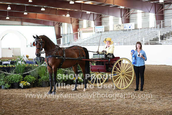 CA_Springfest19_FriAM_9177