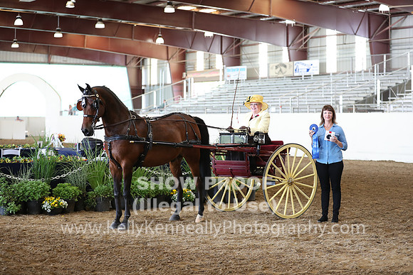 CA_Springfest19_FriAM_9178