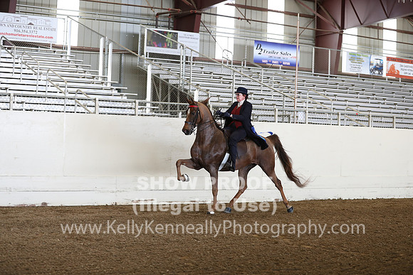 CA_Springfest19_FriAM_9079