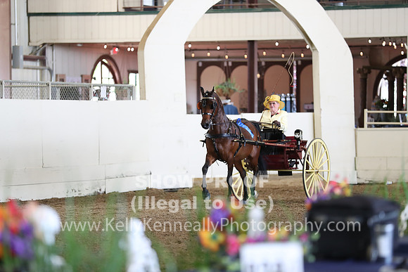 CA_Springfest19_FriAM_9179