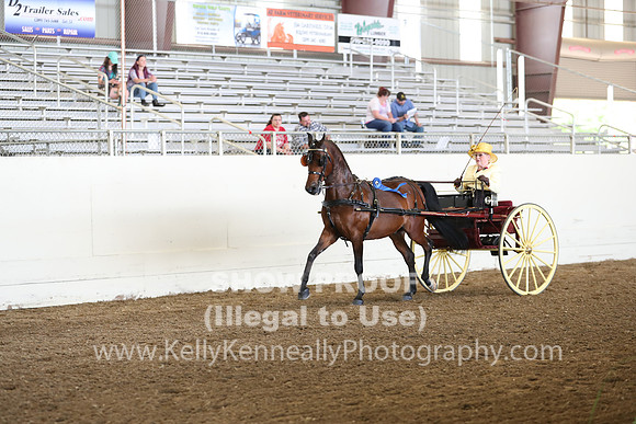 CA_Springfest19_FriAM_9180
