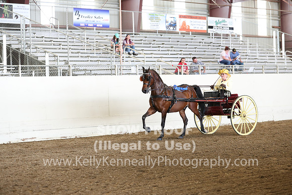 CA_Springfest19_FriAM_9181