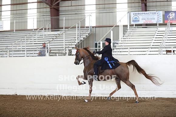 CA_Springfest19_FriAM_9082