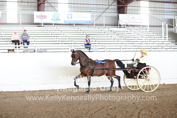 CA_Springfest19_FriAM_9183