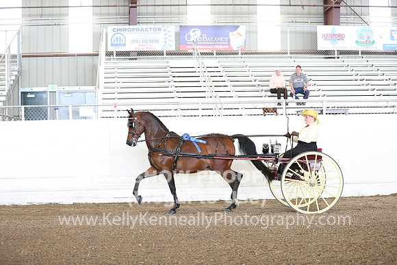 CA_Springfest19_FriAM_9185
