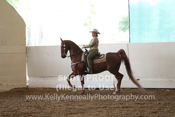 CA_Springfest19_FriAM_9209