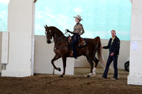 CA_Springfest19_FriAM_9211