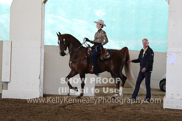 CA_Springfest19_FriAM_9211