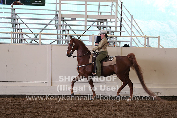 CA_Springfest19_FriAM_9206