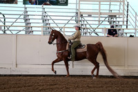 CA_Springfest19_FriAM_9207