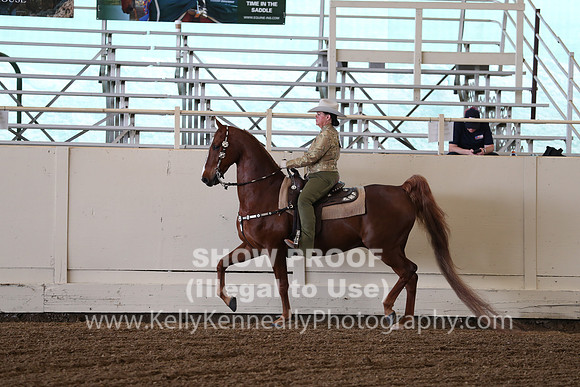CA_Springfest19_FriAM_9207