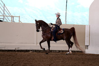 CA_Springfest19_FriAM_9212