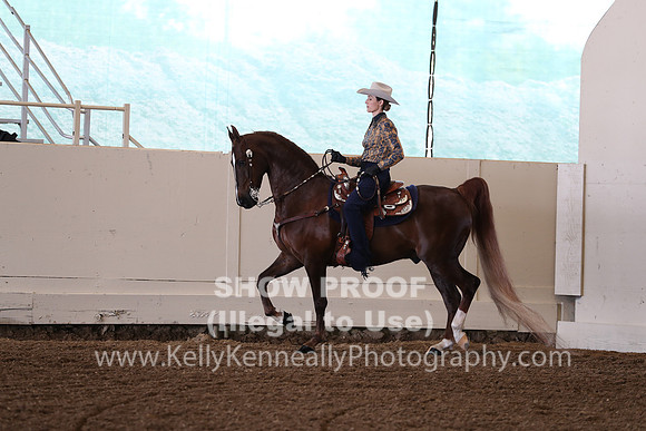 CA_Springfest19_FriAM_9212