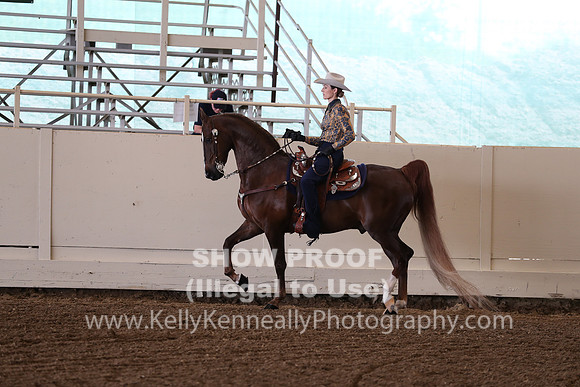 CA_Springfest19_FriAM_9213
