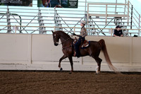 CA_Springfest19_FriAM_9214