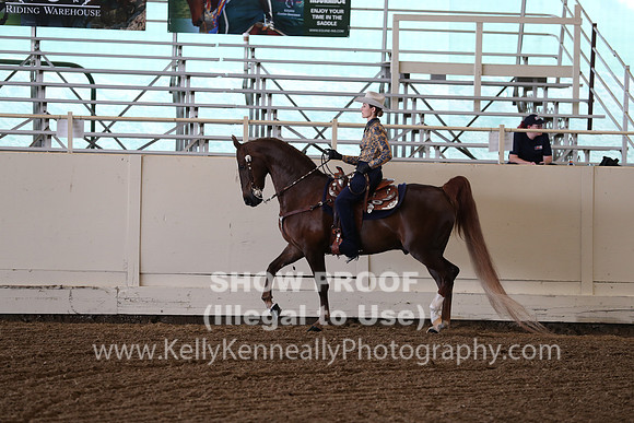 CA_Springfest19_FriAM_9214