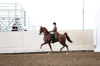 Class 30 ASB Three Gaited Park Pleasure Three Year Olds and Under