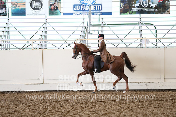 CA_Springfest19_FriAM_9243