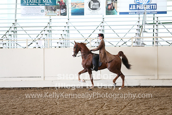 CA_Springfest19_FriAM_9244